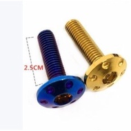 UNIVERSAL SKRU TITANIUM & GOLD SKRU FENDER EKOR BELAKANG Y15ZR Y150 YSUKU REAR SCREW GOLD TITANIUM S