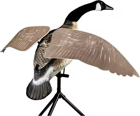 Duck Lucky Flapper Canada Goose