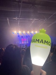 [Rental only]  ［4/10 暫停出租］出租mamamoo木棒 2.5代 