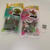 現貨 Petit Deluxe Block 日本 松 櫻 盆栽 積木