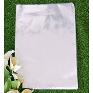 25x40 opp plastic bag souvenir parcel parcel size 25x 40