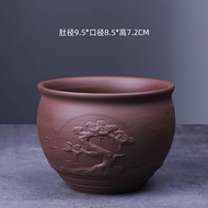 BMC Creative Asparagus Fern Spiral Flower Pot - Bonsai pot Mini bonsai Succulent Planter POT1235