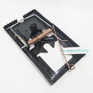 Mouse Trap Mouse Trap