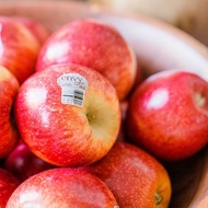 20 เมล็ด เมล็ดแอปเปิ้ล สายพันธุ์ เอนวี่ (Envy Apple) ของแท้ 100% อัตรางอกสูง 70-80 % Apple seeds มีค