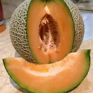 5 BUTIR BIJI / BENIH MELON SAKATA DAGING ORANGE
