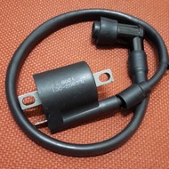 Fit HYOSUNG Naza , GT250R, GD250, GT650, COMET GT650R S COMET - Ignition Coil / Plug Coil - Naza Blade 250