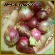 ﹍ § ☋ SMALL ONIONS/ LASONA/LASUNA/MALILIIT NA SIBUYAS( Ship out Agad)
