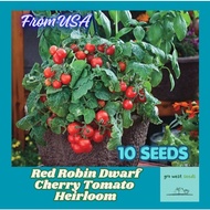 Rare Seed - Red Robin Dwarf Cherry Tomato - Heirloom