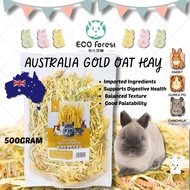 ECO FOREST Australia Gold Oat Hay 500g (Rabbit Food, Guinea Pig Food, Chinchilla Food, Hay For Rabbi