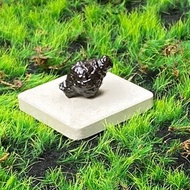 能量擺飾-精選天然埃及預言石造型原礦 心靈平靜石 快速出貨