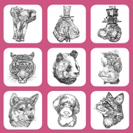 Animal Line Draft Copybook Cartoon Pencil Hand-Painted Drawing Technique Sketch Copy Picture Book Ar