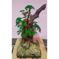 Driftwood Bonsai Tree
