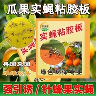 Fruit Fly Buster Needle Bee Trap Bee Sticker Insect Trap Board Citrus Size Fruit Fly Sticky Board Citrus Size Fruit Fly Buster Bee Trap Bee Trap Bee Trap Bee Sticker Insect Trap Board 4.10