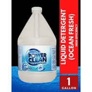 HE Liquid Detergent 1 GALLON Concentrated High Efficiency Washing Machine Laundry Wash Clothes Soap
