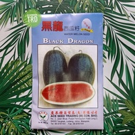 Paket 20g BLACK DRAGON Biji Benih Tembikai Madu Merah F1 Hybrid Red Watermelon Seeds ACE Seed Trading Ready Stock.