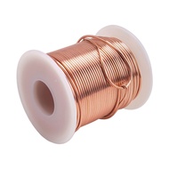 Flash Deal- <br>Copper Wire 99.9% Soft Pure Bare Copper Wire for Gardening Electroculture16 Gauge/ 1