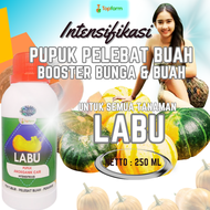 Pupuk Pelebat Buah Labu / Pupuk Pelebat Labu / Pupuk Buah Labu / Pupuk Labu / Pupuk Penyubur Buah La