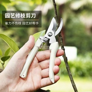 Gardening Shears Pruning Shears Flower Shears Garden Shears Flower Shears Branches Fruit Tree Shears