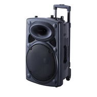 15 inch heavy bass high volume cool lighting outdoor speaker BT wireless portable portable speaker