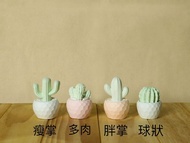 MIHER 仙人掌盆栽擴香石