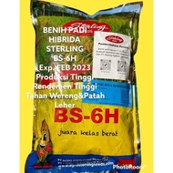 BSHS 6H BS-6H 1kg EXP: JULI 2023 BENIH PADI HIBRIDA Sterling PRODUKSI