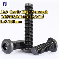 Skru Enam Segi Dalam Gred 12.9 Kuat Tinggi Industri M6/M8/M10/M12/M16 8-100mm (XD-MY)
