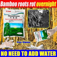 Bamboo roots rot overnight racun pokok buluh Racun pokok kayu besar Tree killer Weed killer Hexazino