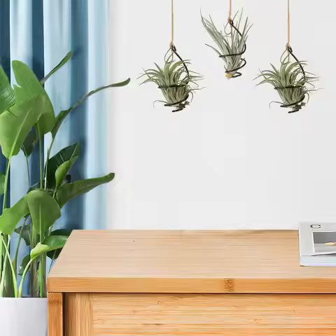 12Set Spiral Air Plant Holder Metal Hanging Tillandsia Stand Soilless Display Container for Living R
