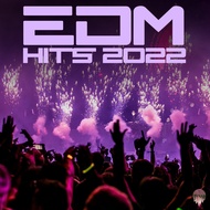 MP3 EDM Hits 2022(แผ่น CD  USB แฟลชไดร์ฟ)