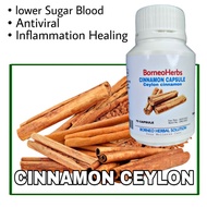 70 Kapsul Cinnamon Ceylon 💯Asli Kayu manis Supplement Capsule