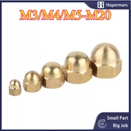 Copper Cap Type Nut Cap Nut Nut Nut Copper Nut/M3/M4/M5-M20 (HA-LR-SG)