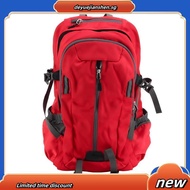 Patagonia backpack 35L