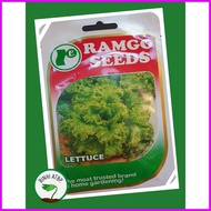 ✟ ⍎ ▩ Ramgo Lettuce Black Simpson Seeds