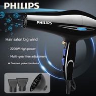 Panasonic Hair Dryer 2200W Blue Light Hair Dryer Professional Ionic