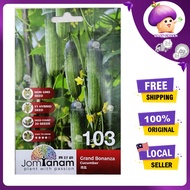 JT103 GRAND BONANZA CUCUMBER (20 SEEDS)/ BENIH TIMUN/黄瓜种子