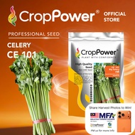 (200 GRAM) Biji Benih Daun Sup Saderi Big Salary 大薪 CE101 CROP POWER Celery seeds 芹菜 CE 101