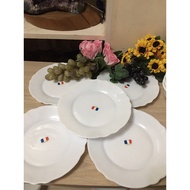 Arcopal france plates