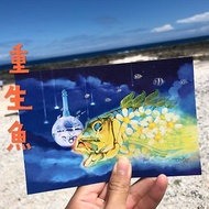 綠島與重生魚-台灣綠島/手繪/環保/魚/潛水/明信片