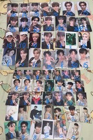 SEVENTEEN Dino 小卡