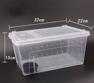 Khu vườn màu xanhHộp nuôi pet (32x22x15cm)o.Ở O.oooo..