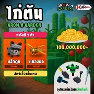 Grow a Garden 🐔🧟‍♂️ ที่เดียวในไทย การันตรี แรคคูนและแมลงปอ 2 ตัว ในไอดี พร้อมเล่น! ไม่หลอกลวง