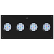 AI Hydra 64 HD LED Light Fixture