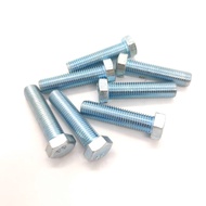 M10 X 40MM HEX HEAD SCREW SKRU SAIZ 17 COMMON PETAK PANJANG 4.0CM ( 1PCS / 1 BIJI ) (BH10X40)