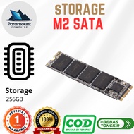 M2 SATA SSD Storage 256GB NVME/ (Used above 70%)