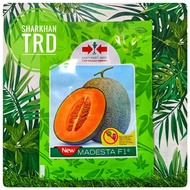 Paket 200 Seeds (10g) NEW MADESTA F1 Biji Benih Rock Melon F1 Hybrid Cantaloupe Seeds Cap Panah Merah East West Seed.
