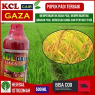 (PELEBAT Padi) Pupuk KCL Cair Gaza Obat Penambah Bobot Padi Panen Lebih Banyak - Pupuk KCL Cair Pele