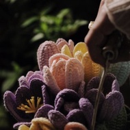 針織鬱金香花束