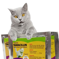 Tamacillin - Obat Tabur Luka Luar Cakaran Borok Koreng Luka Basah Cat