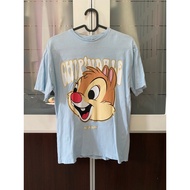 Short Sleeve T-Shirt ZARA KIDS 13-14 164cm Chest 36-37 Inches Long 24.5 Very Beautiful New No Blemis