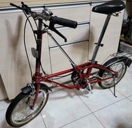 Dahon 老貂